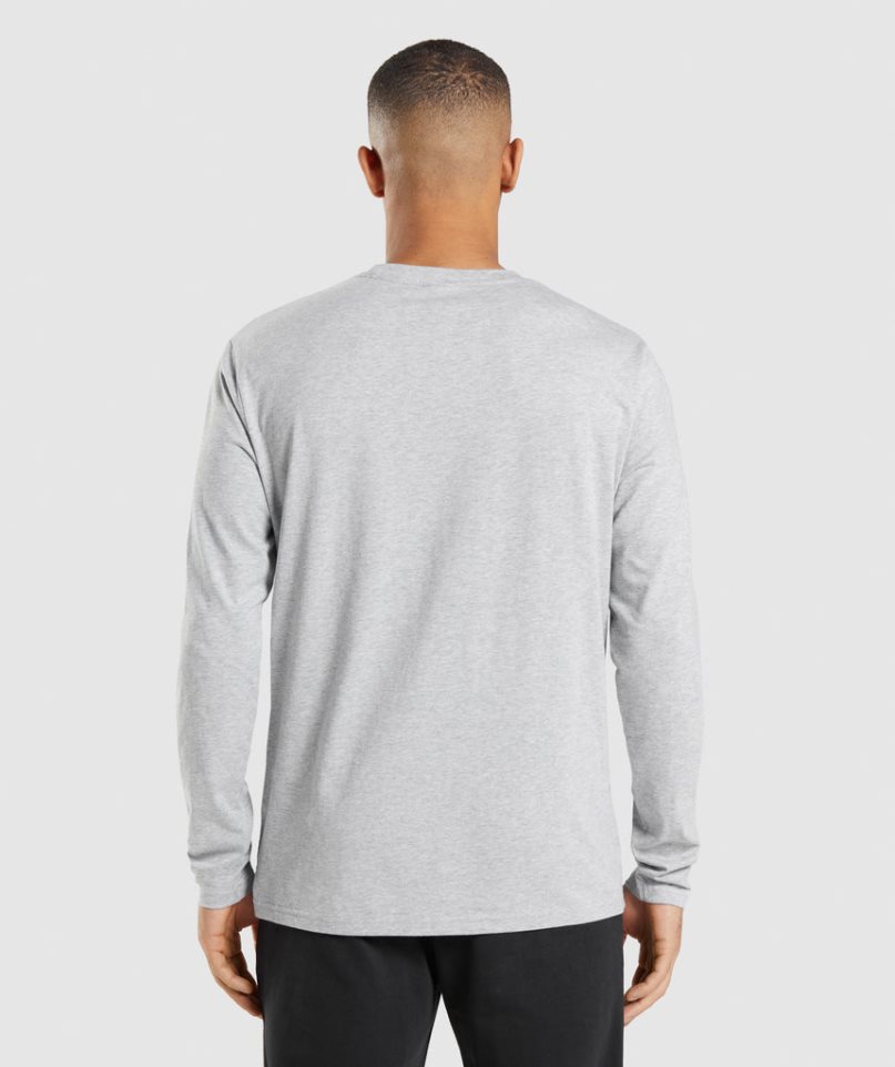 Koszulki Gymshark Crest Long Sleeve Męskie Głęboka Szare | PL 534GPW